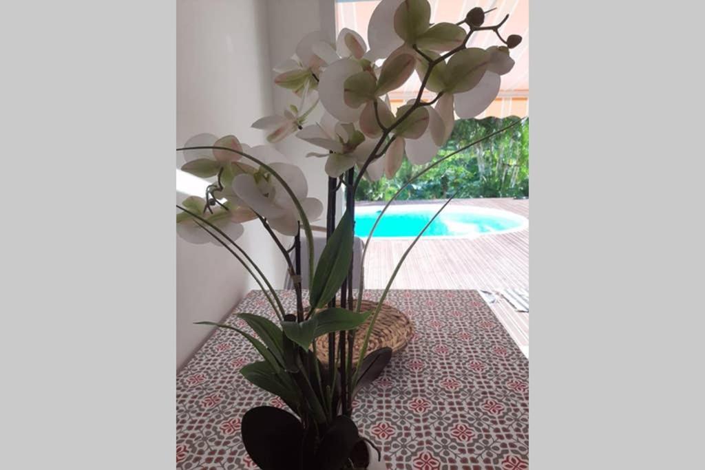 珀蒂堡Les Orchidees公寓 外观 照片